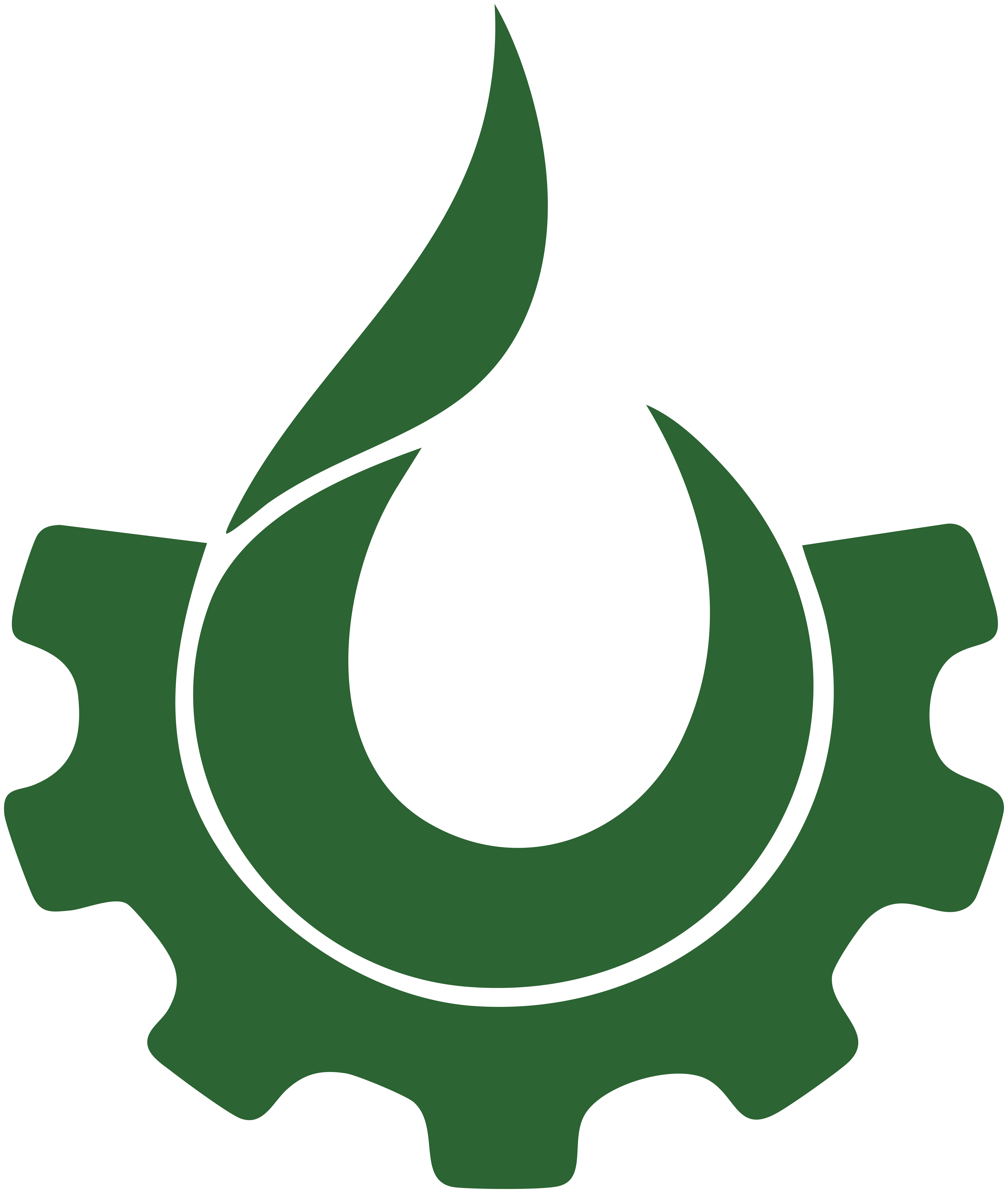 ლიდერ სერვისი